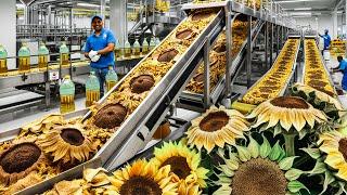 How Harvesting Millions Tons Of Sunflower Seeds And Process Sunflower Oil In Factory -Technology Oil