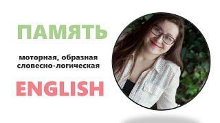  ВИДЫ ПАМЯТИ | МОТОРНАЯ ОБРАЗНАЯ СЛОВЕСНО ЛОГИЧЕСКАЯ | УЧИМ АНГЛИЙСКИЙ