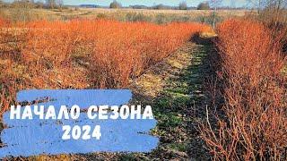 Начало сезона 2024