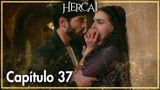 Hercai Capítulo 37