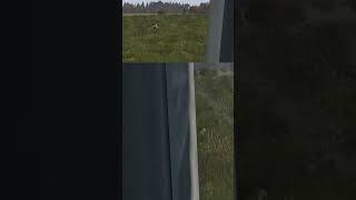 Hunting Rabbit with Crossbow on Dayz #dayz #gaming #xbox #dayzxbox #hunting