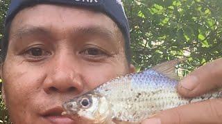 Jom mancing tawes/lampam