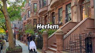 Harlem Beautiful Brownstone Buildings In New York