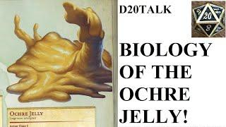 The Biology of the Ochre Jelly from Dungeons and Dragons!