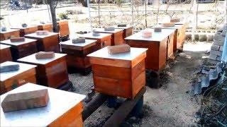 Пчеловодство Подставки под улья из труб без сварочных работ Beekeeping Stands hive of pipes without