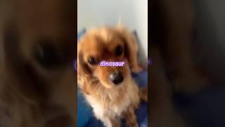 Super awesome dinosaur