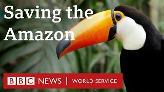 Why are we failing to protect the Amazon rainforest? - The Climate Question, BBC World Service