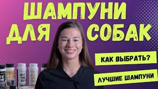 Шампунь для собак, как выбрать. Чем мыть, как мыть собаку