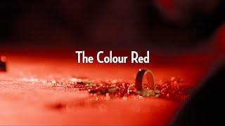 Imperial Tunfisch - The Colour Red (Official Video, 5K)