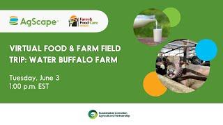 Water Buffalo Farm: Virtual Food & Farm Field Trip