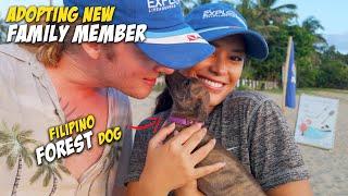 Booking 35 People, New Resort Blessing, Adopting Filipino Dog - Life in the Philippines