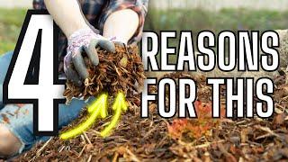 4 Reason To Mulch Vs. 4 Reasons NOT To Mulch In Fall