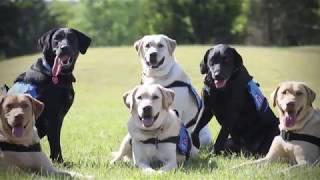 Patriot PAWS - A Snapshot of Our Mission