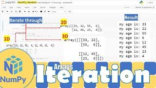 Python NumPy|Looping Through Each of the Elements in a Multi Dimensional Array|Python for Beginners