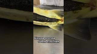 Где в России купить натуральную чёрную икру? ##shorts #short #shortvideo #fishing ￼