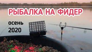 Рыбалка на фидер теплой осенью 2020. Река Иртыш. Омская рыбалка — #OmskFish