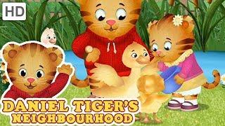 Daniel Tiger - My Baby Sister is the Best! | Videos for Kids