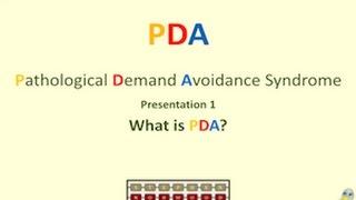 What is PDA?