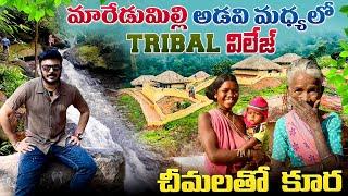 ఆంధ్రప్రదేశ్ ఆభరణం మారేడుమిల్లి | Maredumilli Tribal Village in 4K | Ravi Telugu Traveller