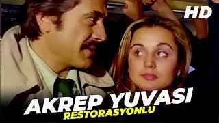 Akrep Yuvası | Cüneyt Arkın Banu Alkan Eski Türk Filmi Full İzle (Restorasyonlu)