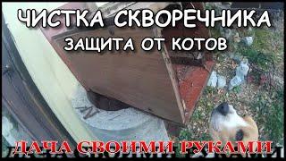 Чистка скворечника и защита от котов на даче.