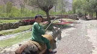 Khar is still d most effective mobility vehicle in d Warsaj valley of Takhar,