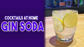 Cocktails at Home | Gin and Soda (Tonic) Recipe by the Cocktail Enthusiast