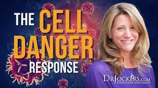 The Cell Danger Response with Jodi Cohen