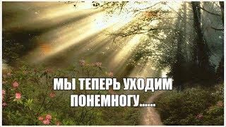 Ефимыч - Мы теперь уходим понемногу...