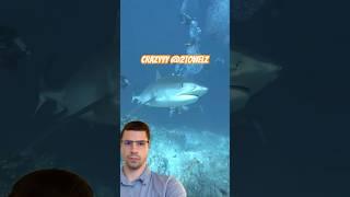 Shark bait  - - -  #comedy #funny #challenge #shorts #memes #edit #prank #2towelz