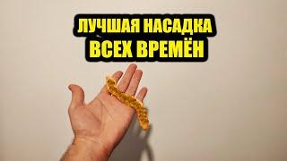 Лучшая Насадка Всех Времён! Секретный рецепт насадки для рыбалки своими руками, супер насадка