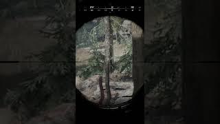 Hunt Showdown 1896 Funny Moments  304