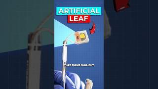 Scientists Create Artificial Leaf That Converts CO2 into Fuel