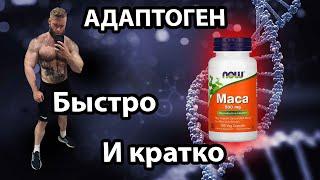 MACA Быстрый и краткий обзор Перуанский Женьшень