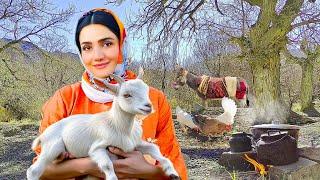 Authentic Village Lifestyle Iran: Donkey Riding & Nature Cooking