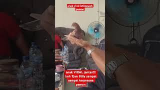 anak VIRAL jantan team RFS ! koh Tjan Billy Filing Good Paman #kenwoodteam #merpati #merpatikolong