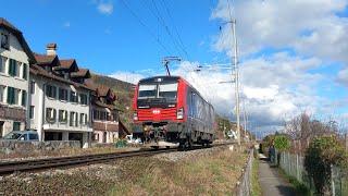 Trafic ferroviaire entre Ligerz et Twann