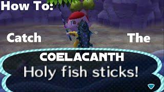 How to: Catch Coelacanth (Animal Crossing: New Leaf)