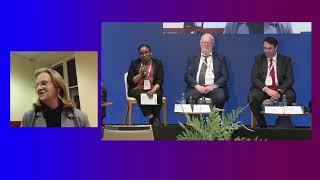 Panel discussion: Use of AI for Social Security Coordination