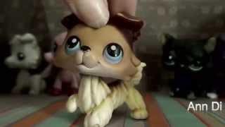 LPS: 1D For Taylor Sweet (Story Of My Life MV)