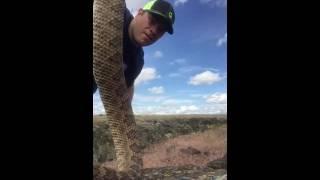 How to kill a Rattlesnake Properly