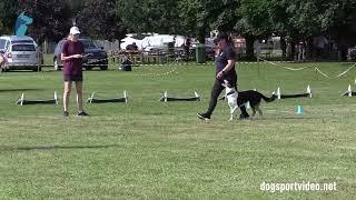 Qualifications – Michelle Holmlund + Kajsaligans Amazing / Border Collie – SWEDEN