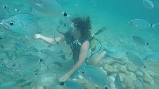 Diving in Kemer place