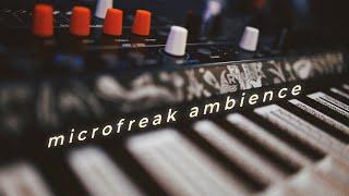 microfreak ambient jam with the empress reverb