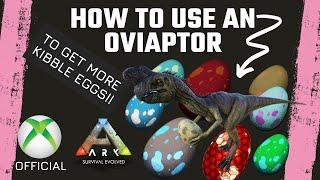 More eggs for your Kibble farm! Oviraptor tutorial! Ark Survival Evolved!