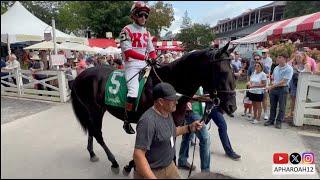 Kentucky Derby Contenders Domestic Product and Just Steel Compete at Saratoga