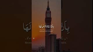 Beautiful Quran Recitation ️️ #quran #beautifulquranrecitation #foryou #qurantranslation