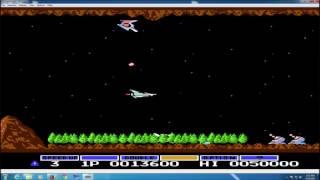 Nestopia Game Genie Cheat for Multiple Codes