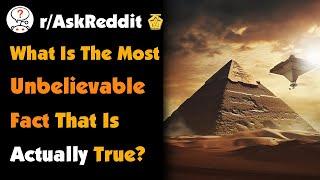 What Is The Most Unbelievable Fact That Is Actually True?