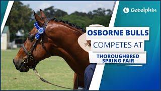  Osborne Bulls competes at Thoroughbred Spring Fair | Godolphin Lifetime Care